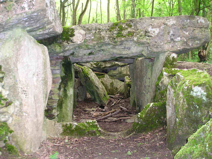 Allée couverte de Dampmesnil-Aveny1